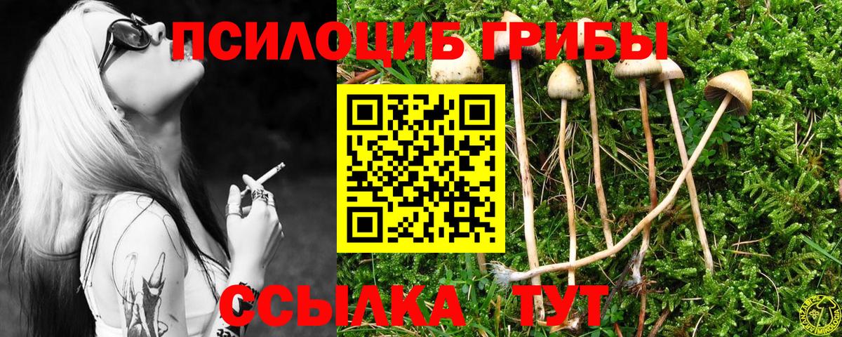 Галлюциногенные грибы MAGIC MUSHROOMS  Вход с VPN  Елабуга  Псилоцибиновые грибы Magic Shrooms 