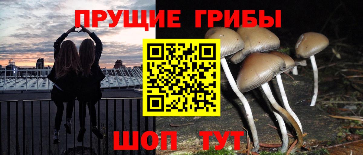 Галлюциногенные грибы Cubensis Елабуга